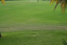 Enlarge photo 47