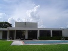 LAWNS - Big & Modern