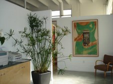 Enlarge photo 14