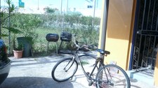 Enlarge photo 176