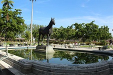 Enlarge photo 113