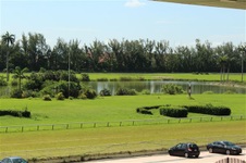 Enlarge photo 116