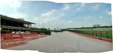 Enlarge photo 125