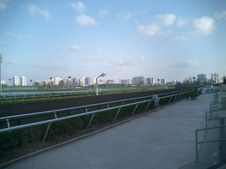 Enlarge photo 97