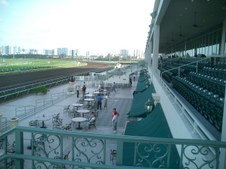 Enlarge photo 96
