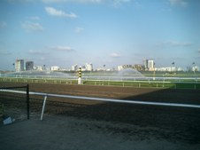 Enlarge photo 95