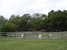 Enlarge photo 57