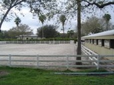 Enlarge photo 59