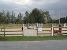 Enlarge photo 62