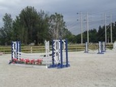 Enlarge photo 63