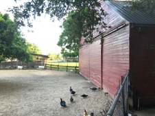 Enlarge photo 52