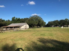 Enlarge photo 36