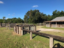 Enlarge photo 38
