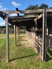 Enlarge photo 40