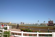 Enlarge photo 91
