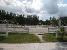 Enlarge photo 75