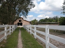 Enlarge photo 76