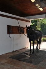 Enlarge photo 71