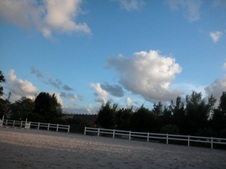 Enlarge photo 81