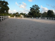 Enlarge photo 82