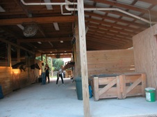 Enlarge photo 78