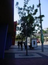 Enlarge photo 31