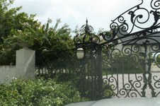 Enlarge photo 117