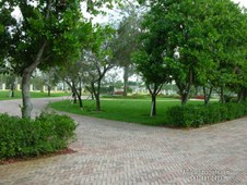 Enlarge photo 74