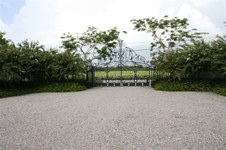 Enlarge photo 121