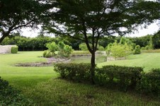 Enlarge photo 124