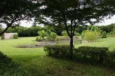 Enlarge photo 125