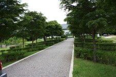 Enlarge photo 127