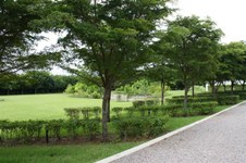 Enlarge photo 128