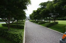 Enlarge photo 130