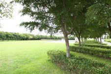 Enlarge photo 132