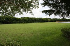 Enlarge photo 133