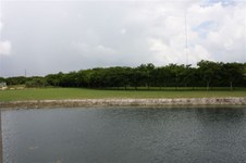 Enlarge photo 143