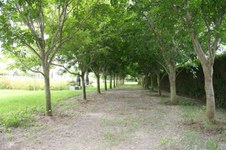 Enlarge photo 149