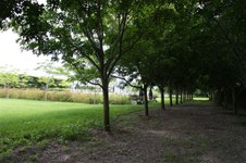 Enlarge photo 150