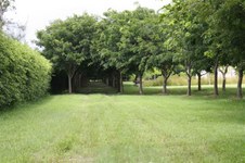 Enlarge photo 152