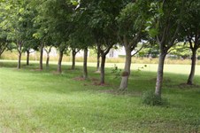 Enlarge photo 153