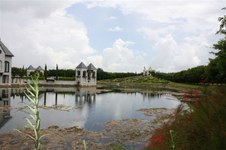Enlarge photo 155