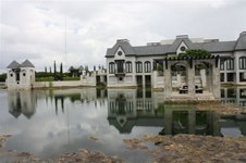 Enlarge photo 157
