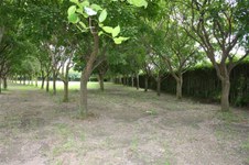 Enlarge photo 159