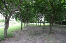 Enlarge photo 160