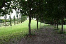 Enlarge photo 163