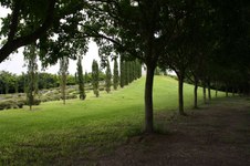 Enlarge photo 164