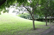 Enlarge photo 165