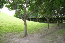 Enlarge photo 166