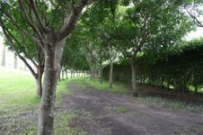 Enlarge photo 174